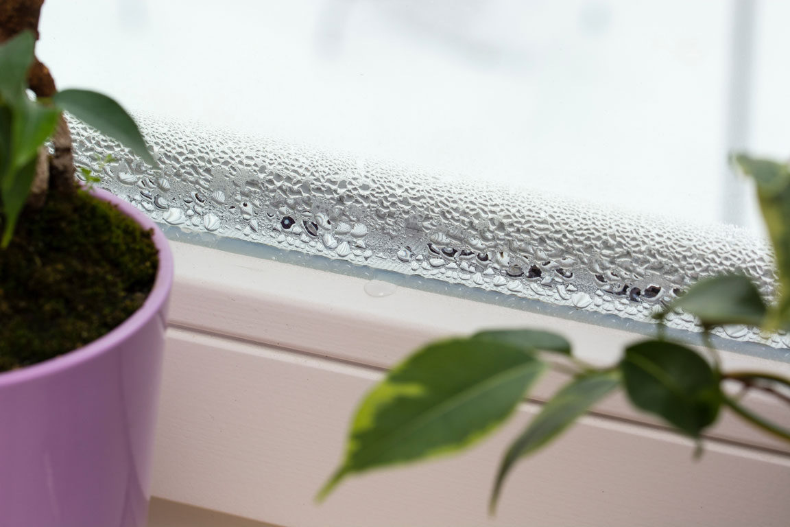 water buildup on residential window